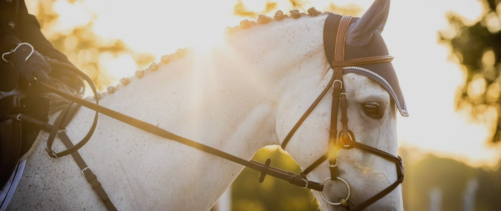 Blue Moon Farm Reddick Florida facility