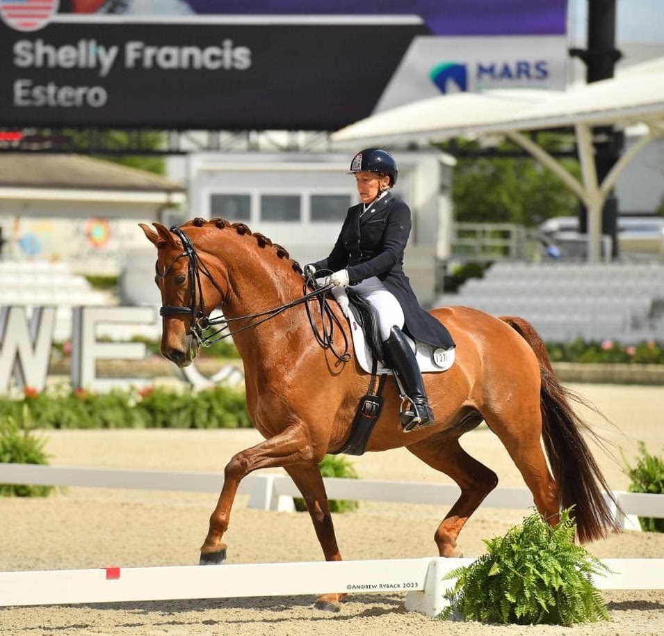 Shelly Francis dressage trainer