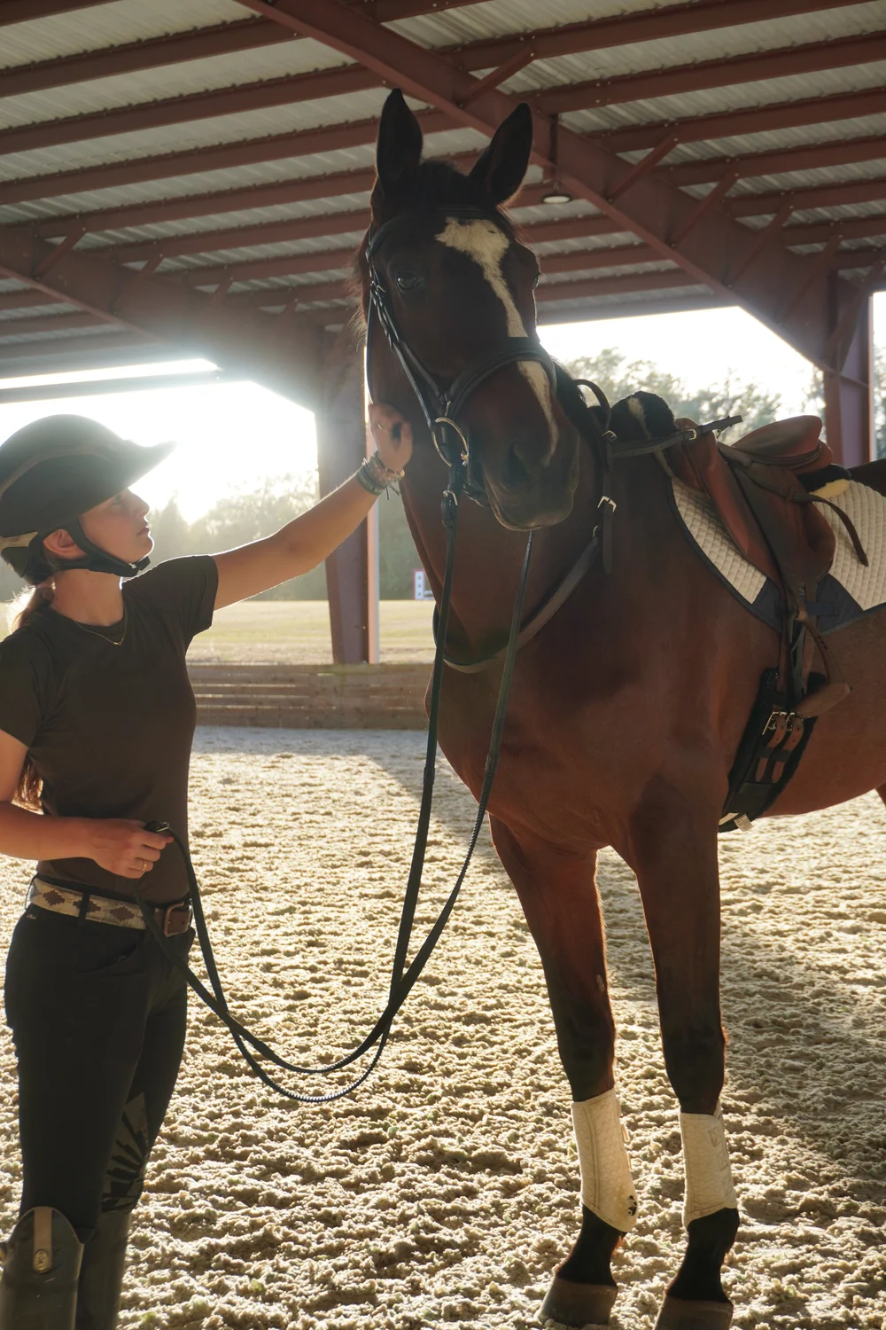 Satin Two Point O Mick young horse