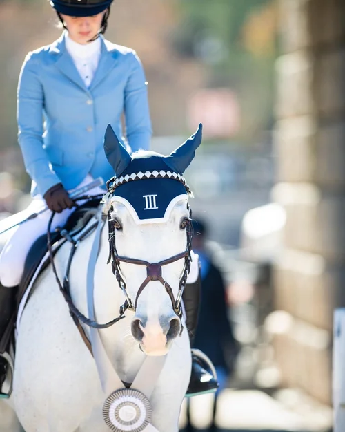 Cross country jumping