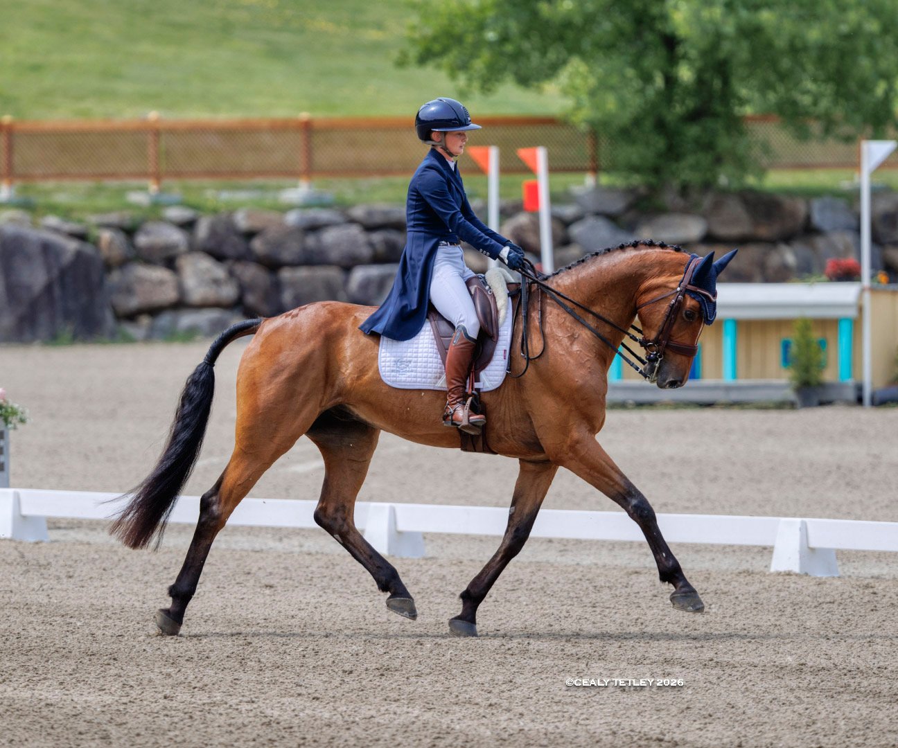 Rory Frangos eventing dressage test international competition