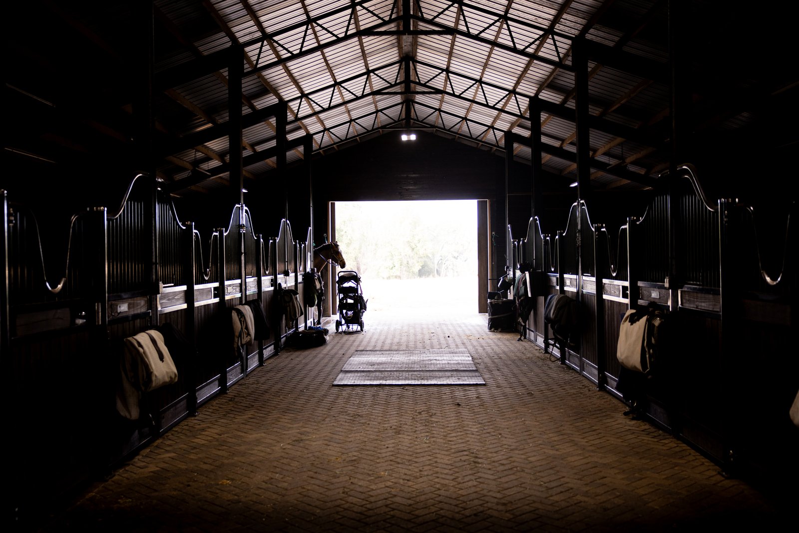 Blue Moon Farm European style horse stalls