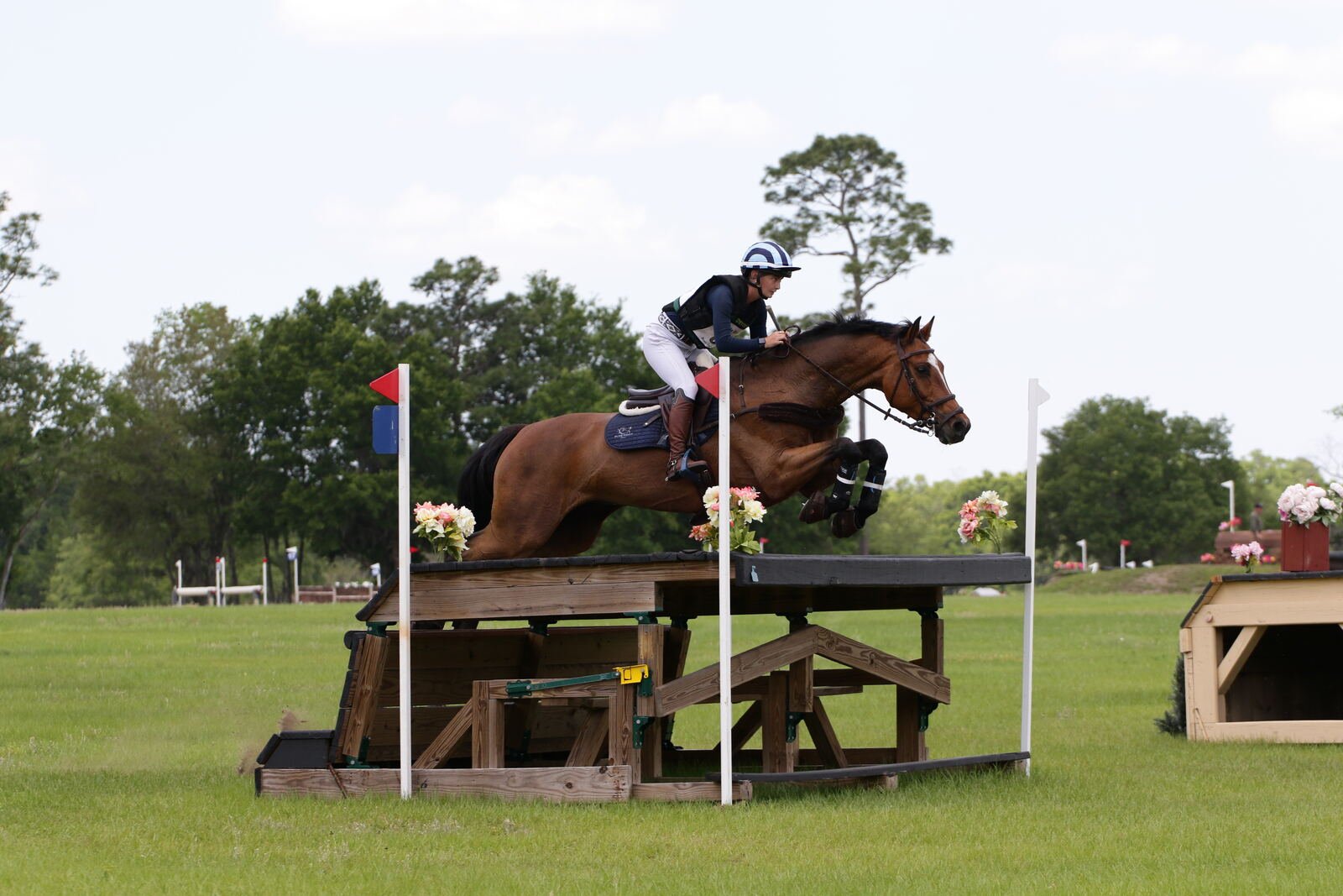 DHI Rocketman Elton John eventing 4* cross country