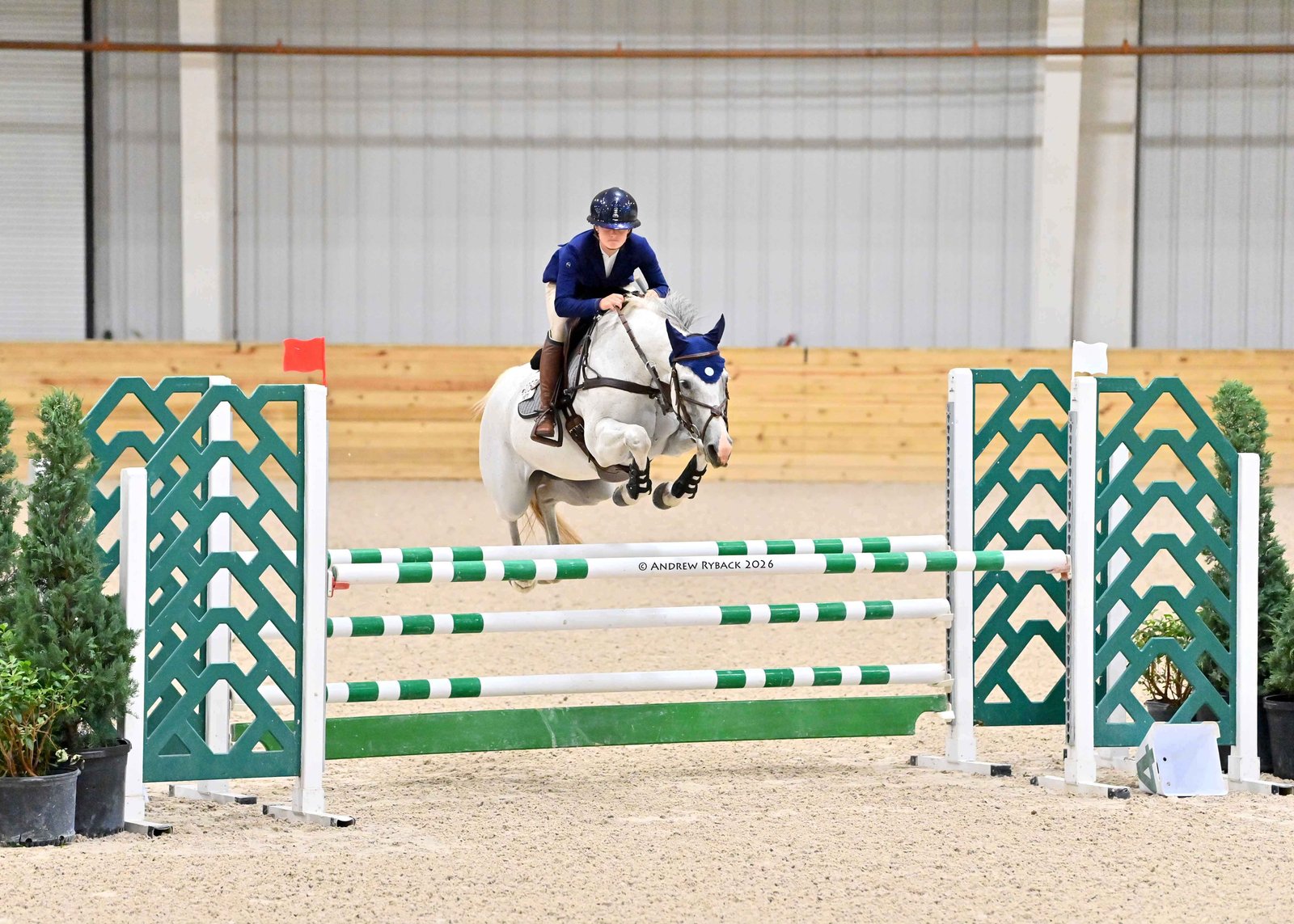Citigirl jumping at WEC - 1.00m amateur jumper