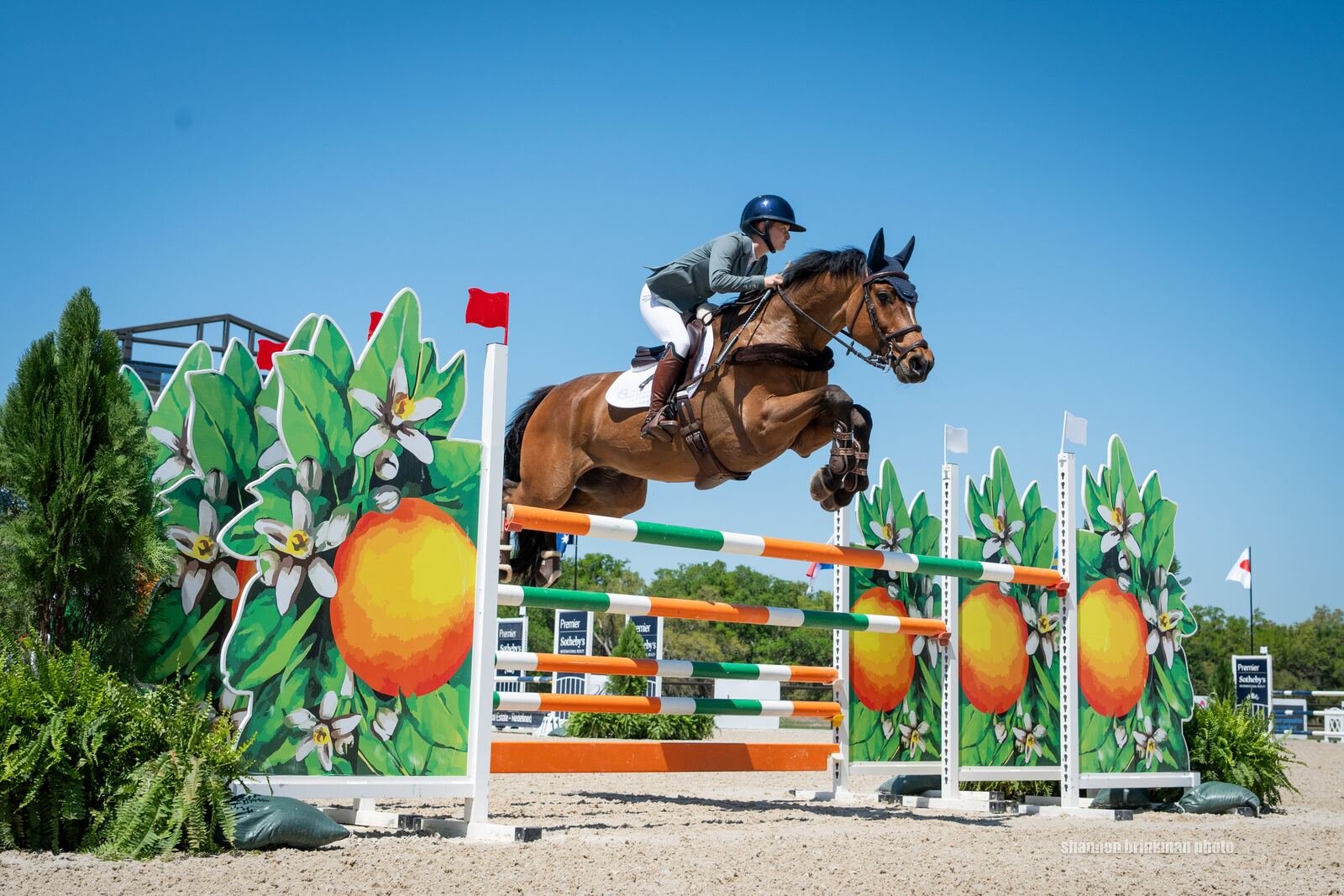 Rory Frangos show jumping international competition