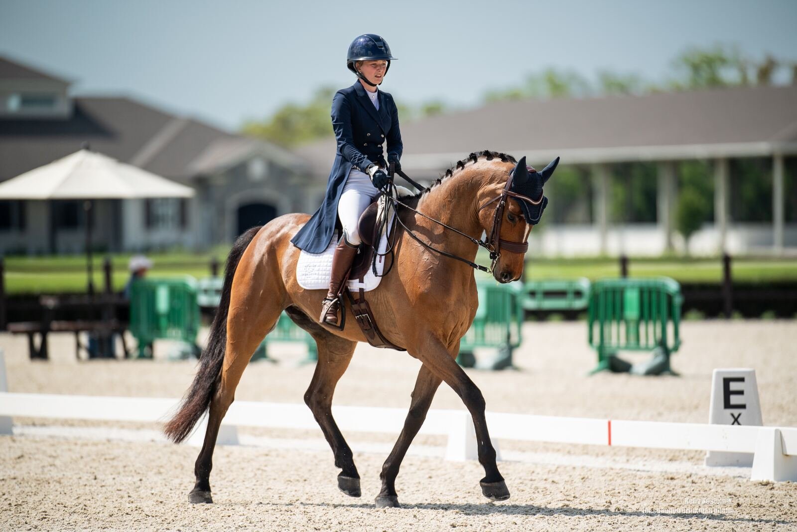 Rory Frangos cross country eventing brush fence