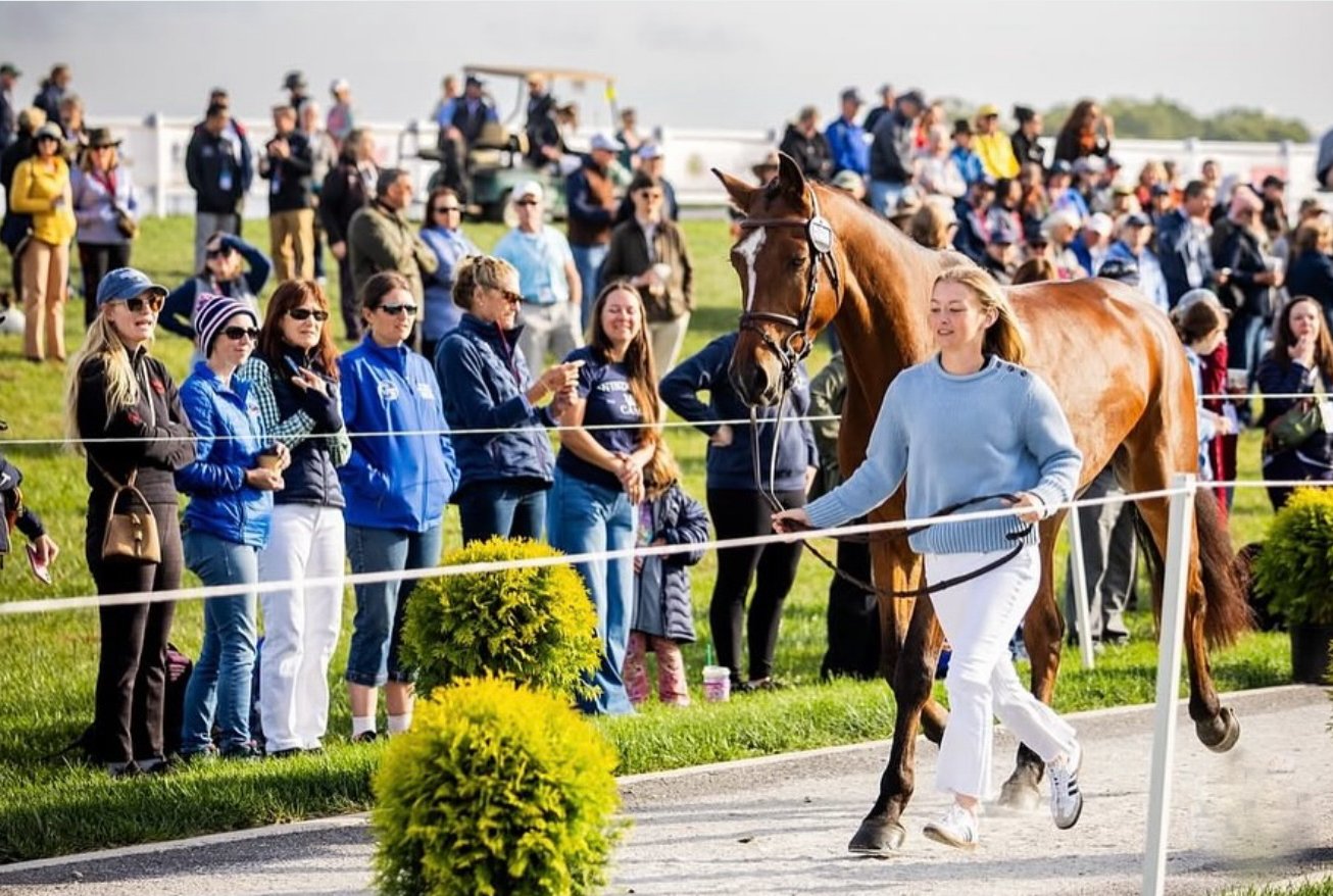 Rory Frangos eventing competition